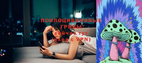 apvp Алексеевка