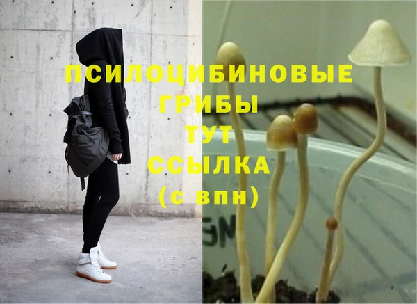 apvp Алексеевка