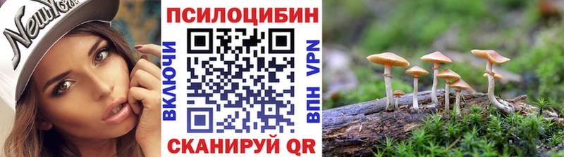 Псилоцибиновые грибы прущие грибы  Гаджиево 