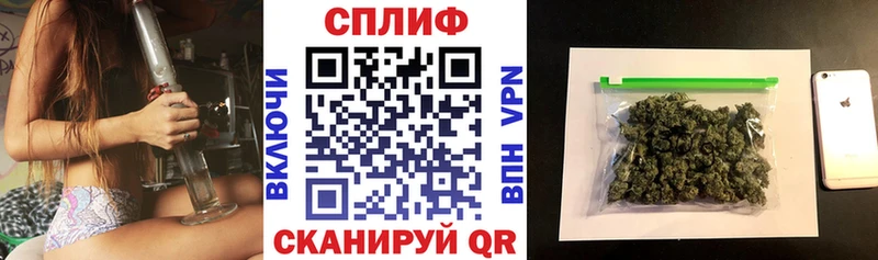 Конопля тримм  Гаджиево 